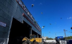 Эколога обвинили в вымогательстве за прекращение критики МСЗ в Татарстане и Подмосковье