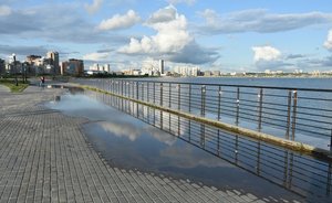 Жителей Татарстана предупредили о грозах и сильном ветре 1 июня