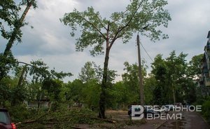 Последствия субботнего урагана в Казани должны устранить до конца суток