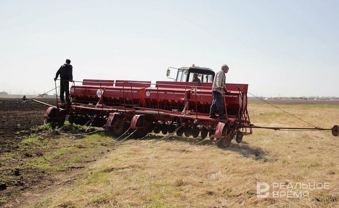 Правительство России утвердило список семян, ввоз которых могут ограничить с октября