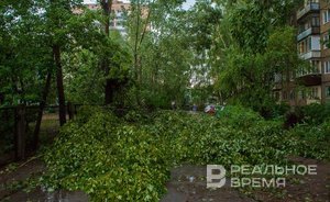 Татарстанцев предупредили о грозе и сильном ветре в субботу
