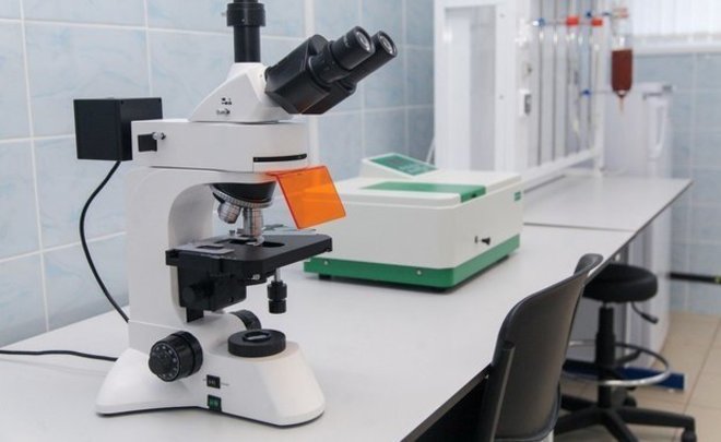 В Центре имени Гамалеи допустили возникновение усиливающих заразность оспы обезьян мутаций