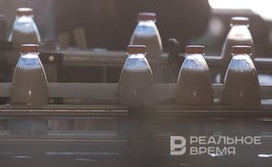 Половину валовой сельхозпродукции Татарстана производят более 8 тысяч хозяйств