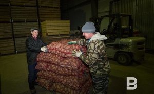 По итогам 2022 года объем экспорта продукции АПК Татарстана составил $417 млн