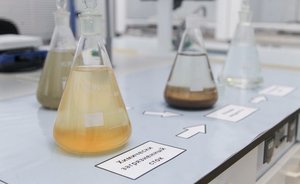 Счетная палата: Казань стала одним из городов с наибольшими объемами сброса грязных вод в водоемы