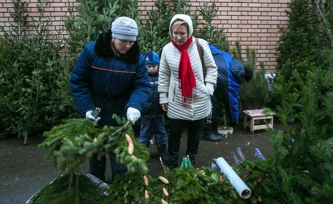 В Казани с 10 по 31 января будут работать пункты приема елок
