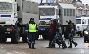 В МВД по Татарстану подсчитали количество участников воскресных акций в республике
