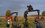 Как под Казанью проходят испытания спецназа Росгвардии на краповый берет — фоторепортаж