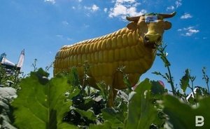 В Минсельхозе Татарстана допустили вероятность более раннего начала полевых работ