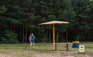 В Казани от клещей обработали зеленые зоны площадью 276 га