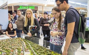 «Конкурсник» вновь отчитался о провале торгов по «земельному банку» ТФБ