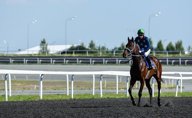 Директор Казанского ипподрома: верховая лошадь погибла во время скачек от сердечной недостаточности