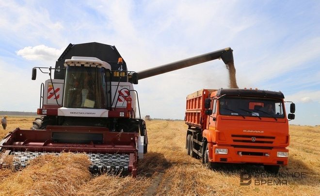 Урожайность зерновых культур в Татарстане упала на 30%