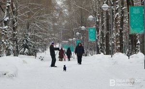 Мужчины в Татарстане: зарабатывают выше среднего, женятся до 34 лет