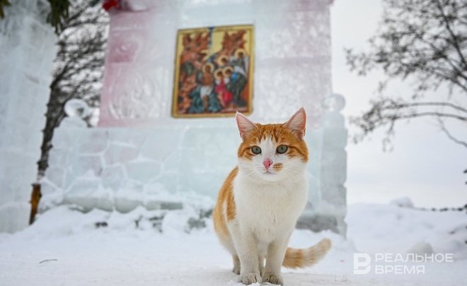 В Татарстане утром 9 января зафиксировали -37,6 градуса