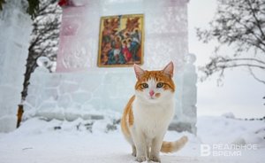 В Татарстане утром 9 января зафиксировали -37,6 градуса