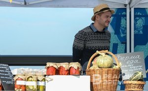 От сельскохозяйственной деятельности в Алькеевском районе Татарстана выручили более 3 млрд рублей