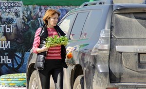 Дачный сезон — 2020: будет тепло и сухо