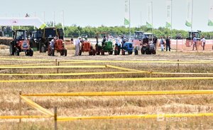 В Татарстане намолотили первый миллион тонн зерна