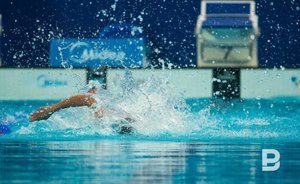 Владимир Леонов: «Есть идея: почему бы не провести через 10 лет новый чемпионат мира по водным видам спорта?»