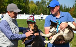 Метшин и Слуцкий взяли себе по собаке на фестивале «Дай лапу»: фото