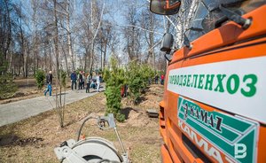 Кабмин Татарстана постановил провести в республике санитарный двухмесячник