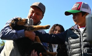 Метшин: «Нужен закон об ответственности за содержание собак»