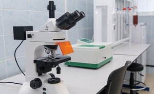 Генетики выяснили, что русские и татары имеют равный риск тяжелого течения коронавируса