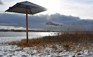 Жителей Татарстана предупредили о сильном ветре и мокром снеге в воскресенье