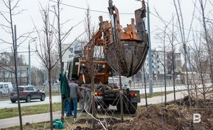 Казанский «Горводзеленхоз» ищет субподрядчика на комплексное содержание парков и скверов за 10 млн рублей