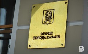 В Казани разработали порядок предоставления субсидии Институту развития города на покупку инвентаря