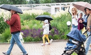 В Гидрометцентре России пообещали «необычную» пятницу