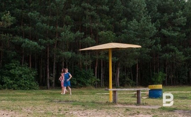 Проход и проезд в некоторые леса Татарстана закроют почти на месяц