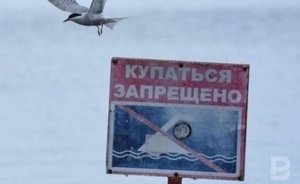 В Буинском районе спасатели ищут 12-летнего мальчика, который пропал во время купания