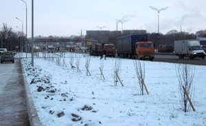 На совете по предпринимательству при президенте РТ раскритиковали автоматический весогабаритный контроль