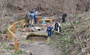 Защита Вахитовского и Приволжского районов Казани от борщевика Сосновского обойдется в 1,7 млн рублей