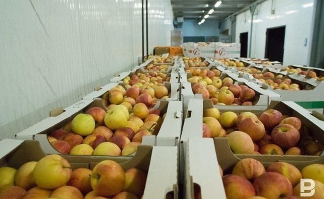 Россельхознадзор частично снимает запрет на поставку яблок из Азербайджана