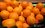 Апельсины в Казани за год подорожали почти в два раза