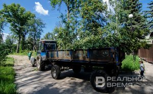 За десять месяцев текущего года в Татарстане появились 35 новых лесопользователей