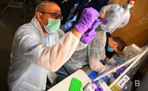 Politico: ВОЗ может переименовать оспу обезьян в MPOX