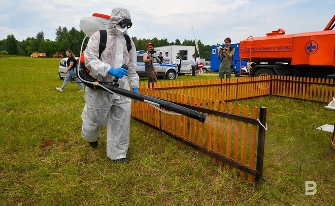 В селе Булдырь Чистопольского района ввели карантин из-за африканской чумы свиней