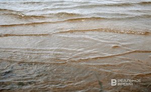 Росводресурсы объяснили падение уровня воды в Волге проблемами Каспия