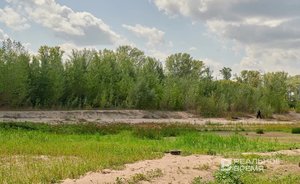 В Татарстане вновь вводится ограничение пребывания граждан в лесах и въезда в них машин