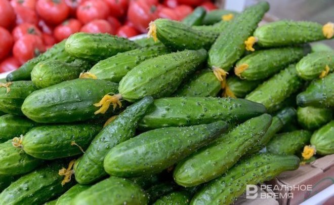 В Татарстане после трех недель роста снизилась средняя цена свежих огурцов