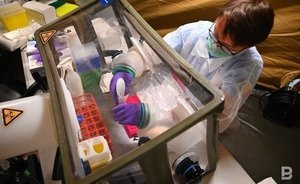 В Роспотребнадзоре считают, что риски распространения оспы обезьян в России крайне невелики