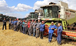 Снижение урожайности и цен, больше «сахара»: чем закончится сезон для аграриев Татарстана