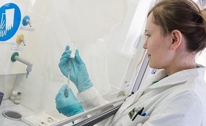 Ученые узнали, как замедлить развитие болезни Альцгеймера