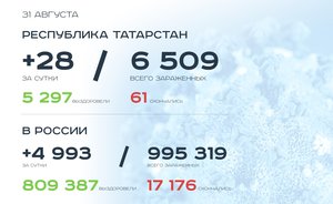 Главное о коронавирусе на 31 августа: Татарстан готовится получить вакцину, Хабаровск снимает все ограничения