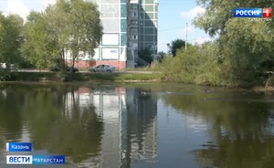 Биолог объяснила причины мора животных на озере Большое Чуйково в Казани