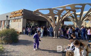 Огромная очередь образовалась в казанский зооботсад